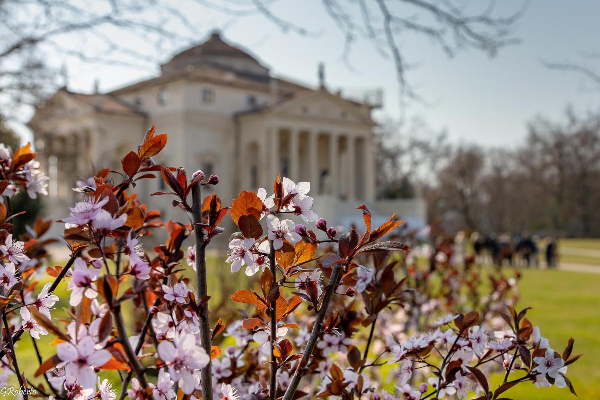 Appartamentopalladio140 Виченца Экстерьер фото